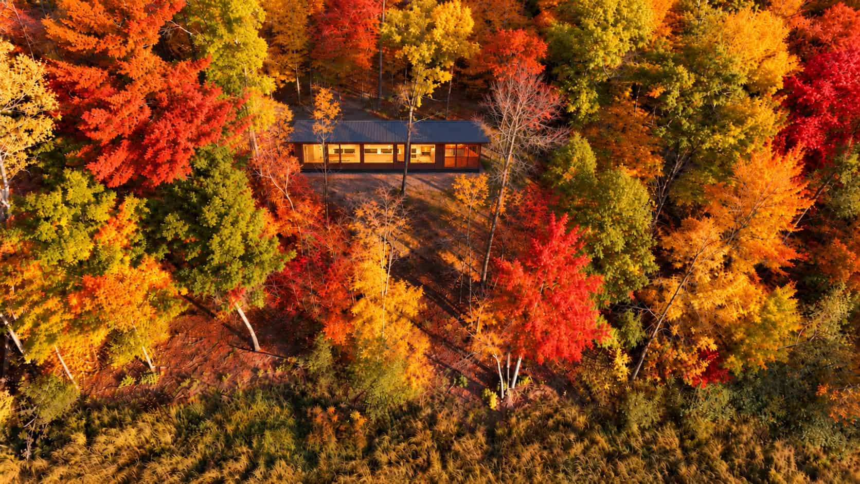 Aerial view of the Glass House at Canoe Bay Village Lot 27 on a small rise surrounded by fall color, with the wetland in the foreground