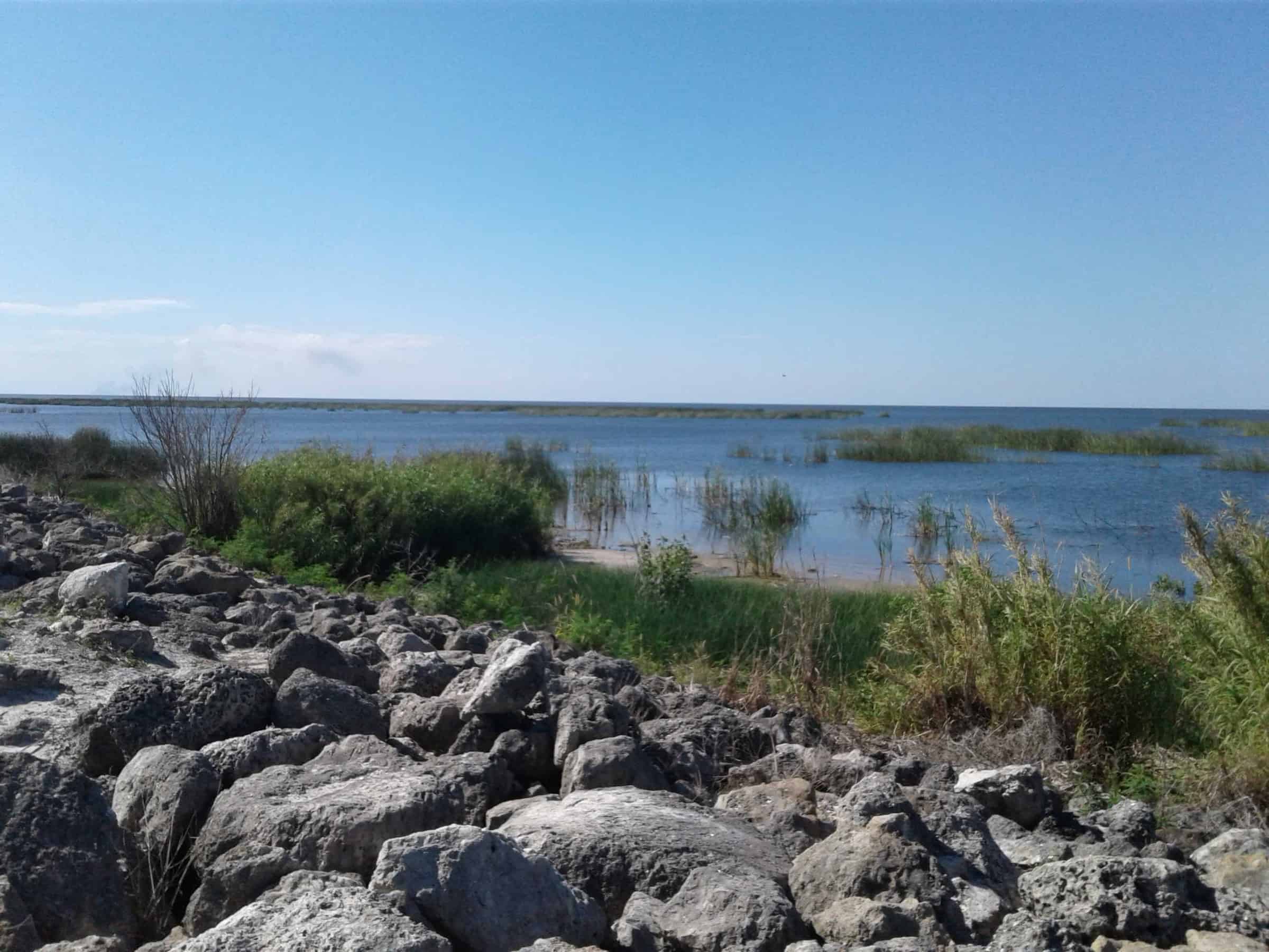 Rocky shoreline and marsh grass along Lake Okeechobee under a clear blue sky
