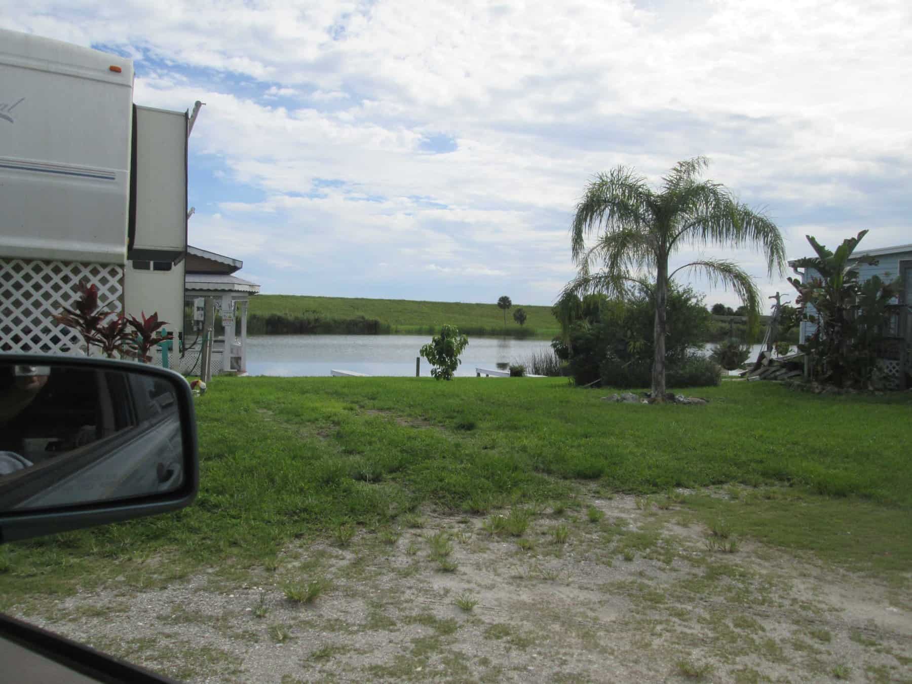 Empty grassy waterfront site with a palm tree and the canal behind
