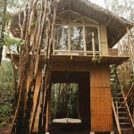 hawaiian-treehouse-tiny-house-vacation-in-hawaii-kristie-wolfe-001