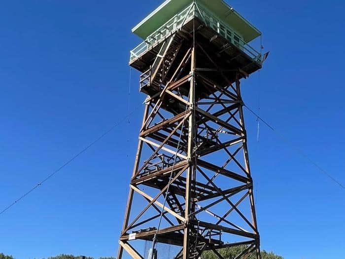 Looking up the timber legs of Jersey Jim Lookout to the mint cab