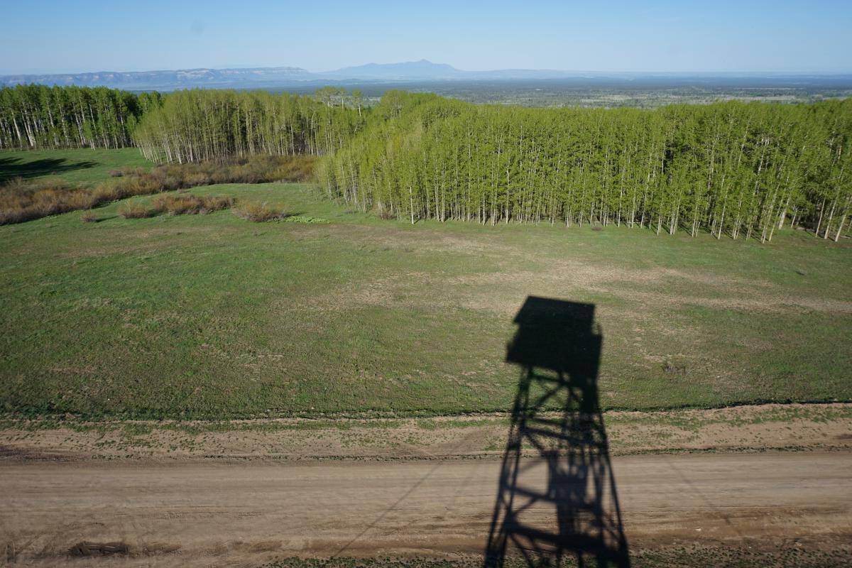 View down from Jersey Jim cab: tower shadow across meadow and road, aspens, distant peaks