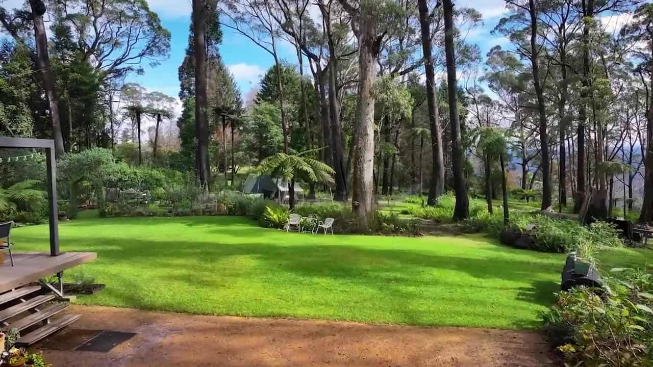 Manicured lawn and forest from Joanne’s deck steps, with a white bistro set under a tree, vegetable beds, tree ferns, and a distant Blue Mountains view