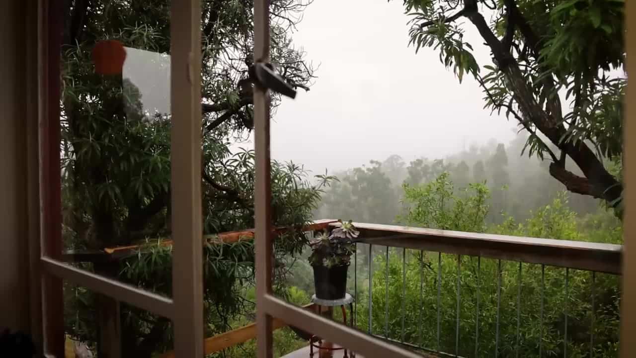 View through open cabin windows of mist in the trees and a small deck railing