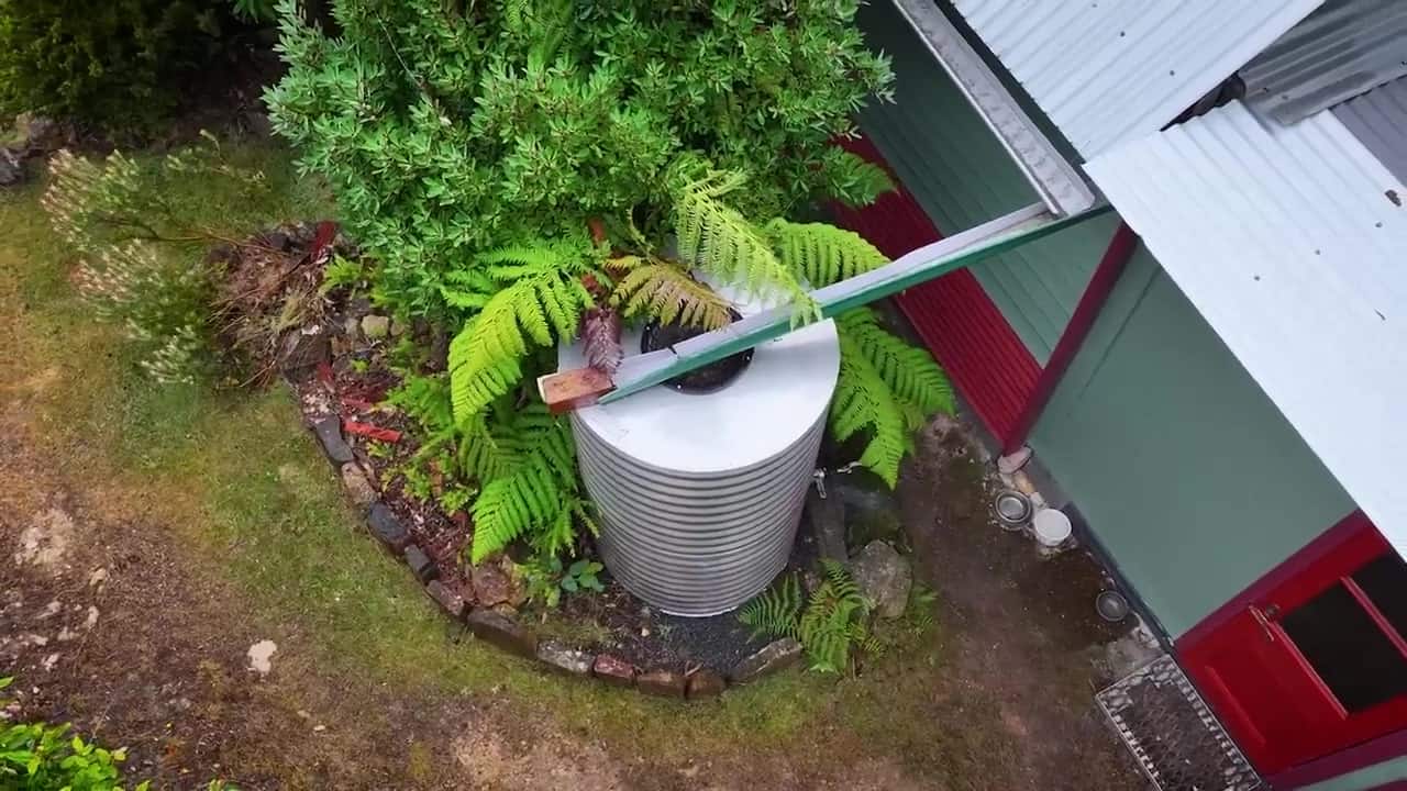 Corrugated stainless rainwater tank beside the cabin with a fern growing in the top and a downpipe from the metal roof