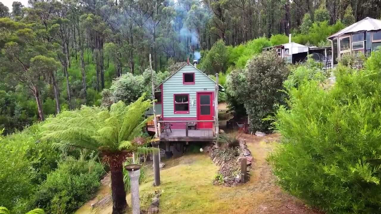Mint-green off-grid cabin with a red door and wood smoke, a tree fern in the foreground and Tasmanian bush all around