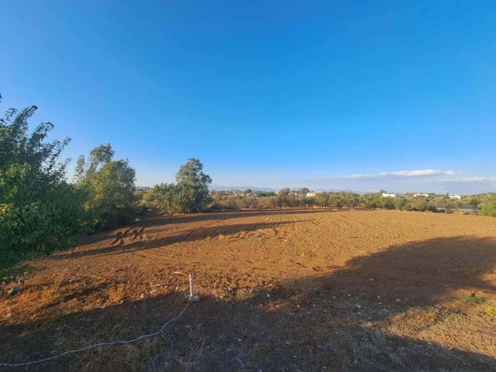 The bare, cleared plot in rural Cyprus before work on the prefab home began, with trees at left and hills on the horizon