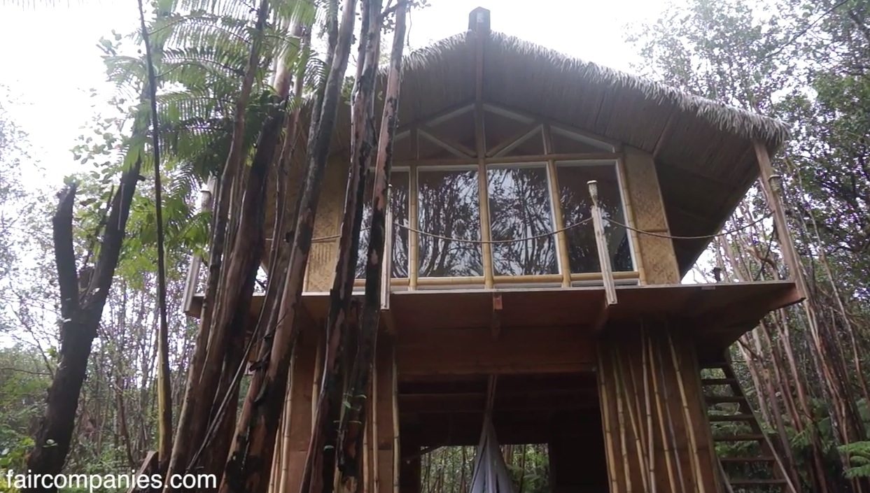She built a 230-square-foot cabin in Hawaii in 2 months for $11k! Image © Faircompanies.com