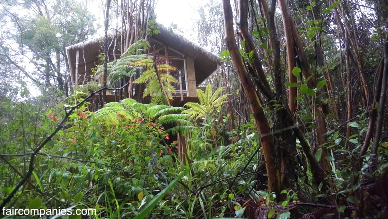 She built a 230-square-foot cabin in Hawaii in 2 months for $11k! Image © Faircompanies.com