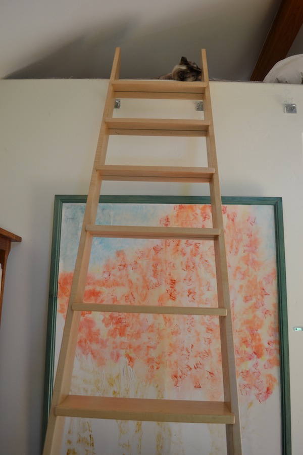 Ladder to Loft