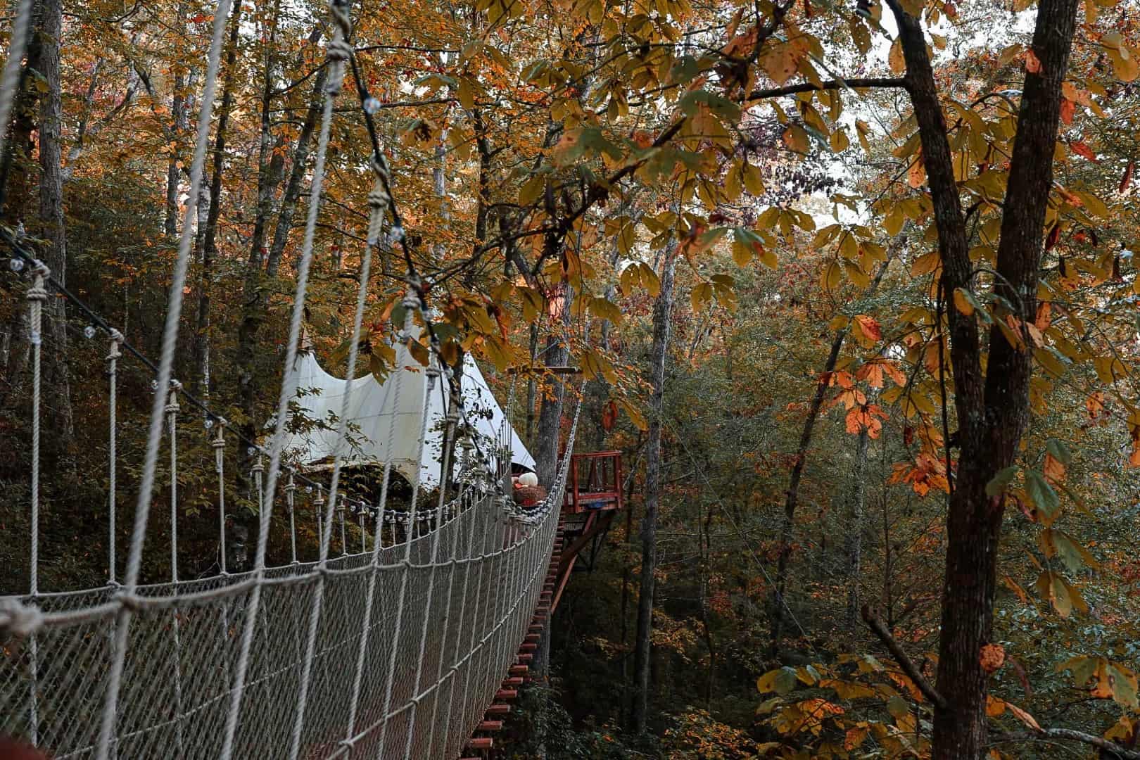 Rope bridge leading through autumn trees to the canvas-roofed treehouse