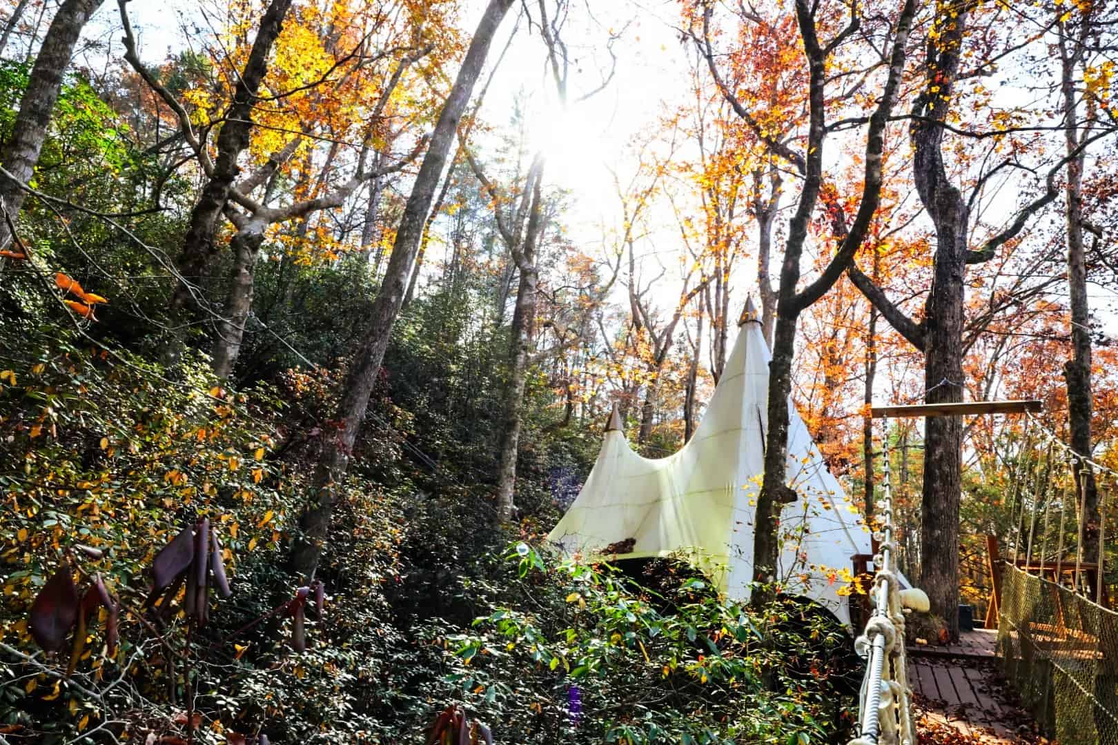 Loxley Forest treehouse with its white canvas roof among fall trees, sun flaring through the branches