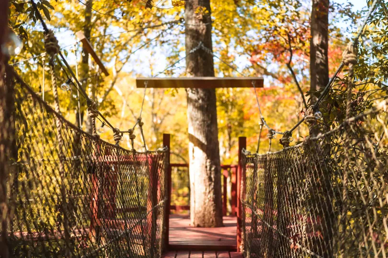 Rope bridge landing wrapped around a tree trunk in golden fall light