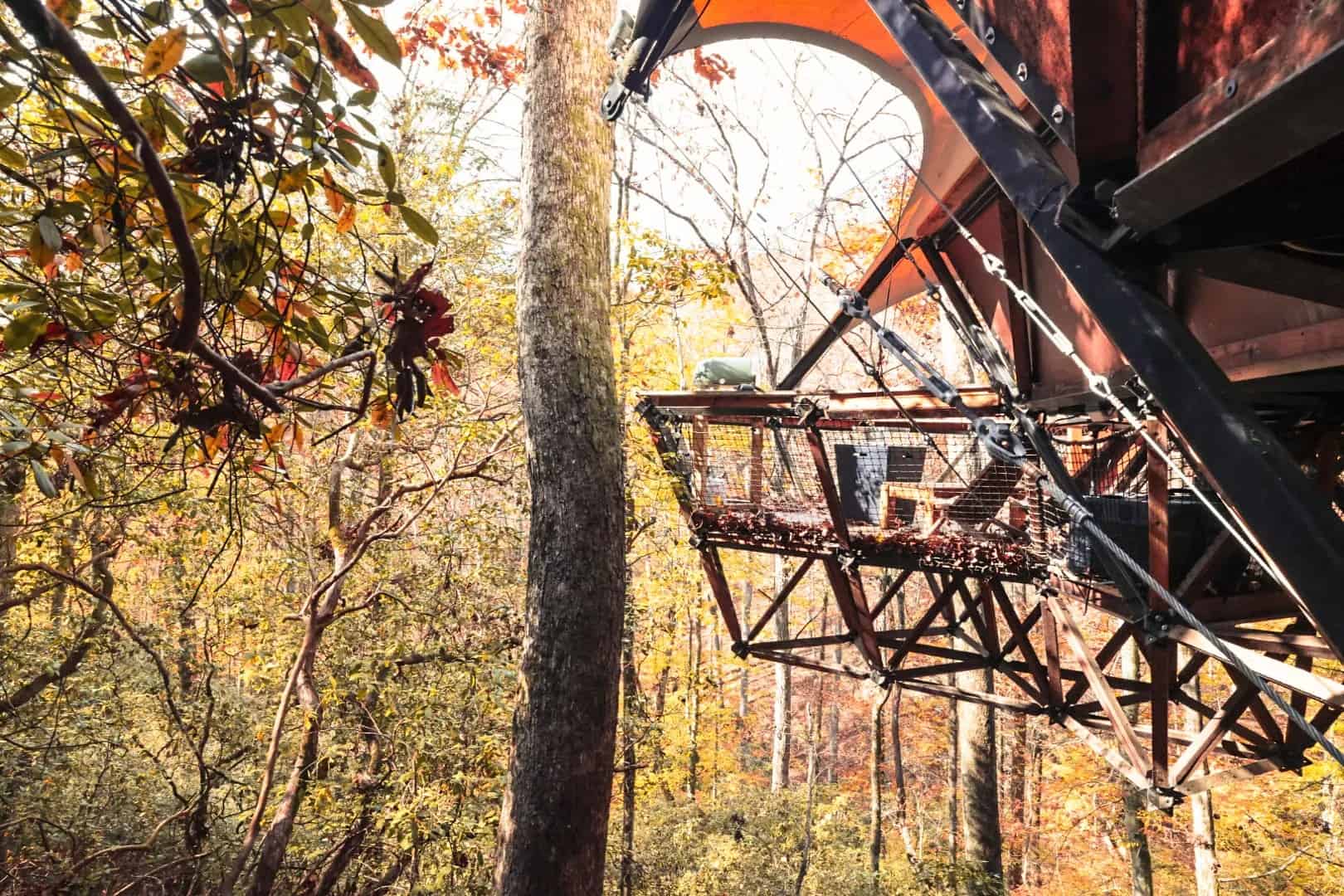 Steel-and-timber truss platform under the treehouse, seen from below among the fall canopy