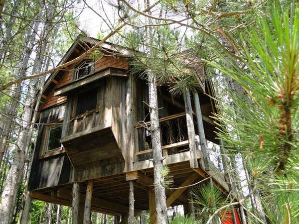 lynn-knowltons-tiny-tree-fort-cabin-0011