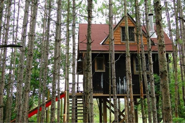 lynn-knowltons-tiny-tree-fort-cabin-002