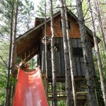 lynn-knowltons-tiny-tree-fort-cabin-003