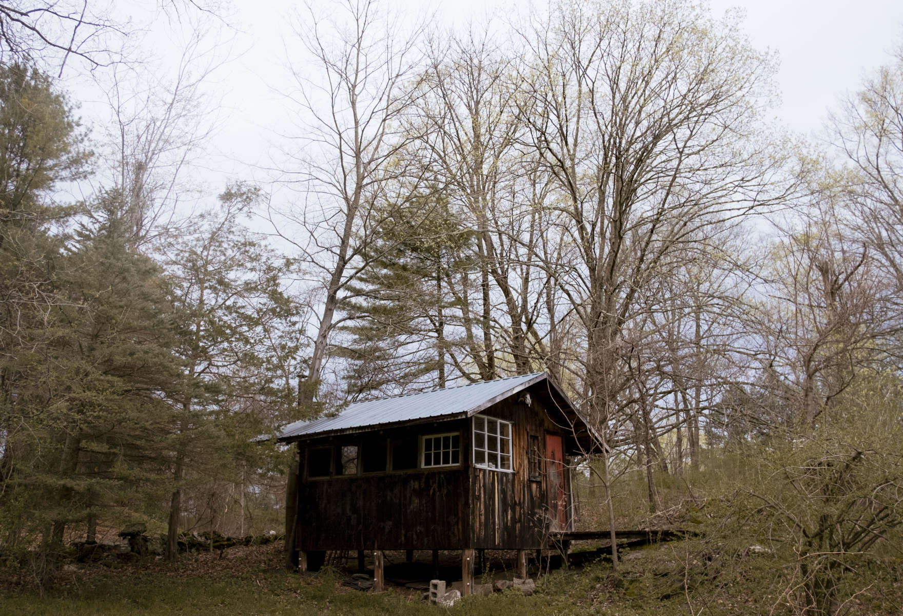 Tiny Cabin Glamping at Moon in the Pond Farm 10