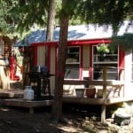 Nanci's Tiny Cabin and Downsizing Story