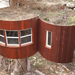 nest-tree-house-in-cypress-valley-013