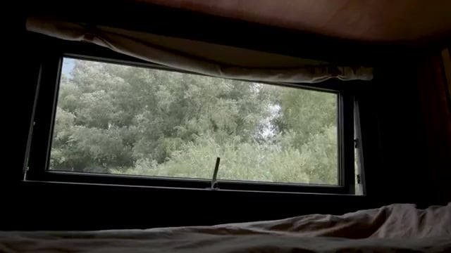 Cab-over sleeping alcove with black walls, wood ceiling, and a rectangular side window to the trees