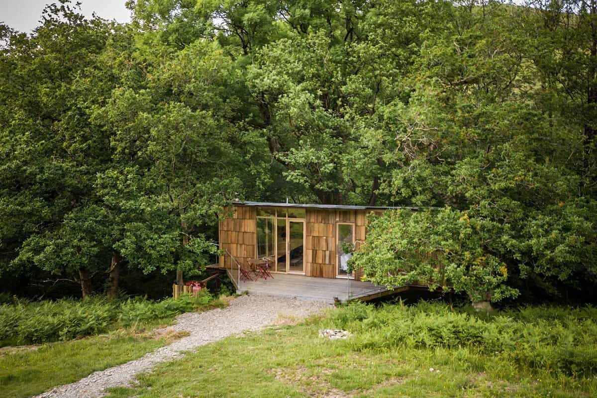 Shingled Nyth y Barcud cabin at the end of a gravel path among oak trees and ferns