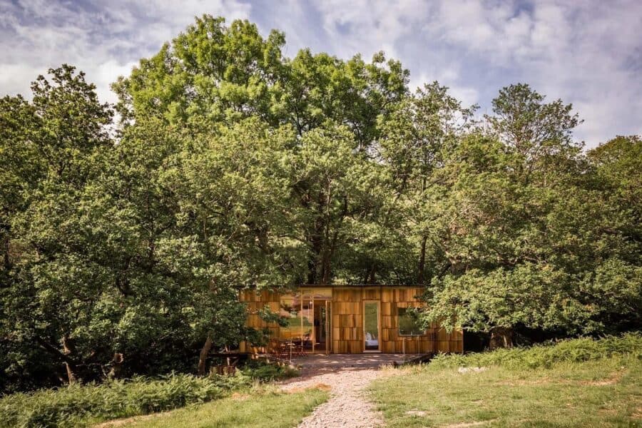 Shingled Nyth y Barcud cabin under oak canopy with a gravel path approach