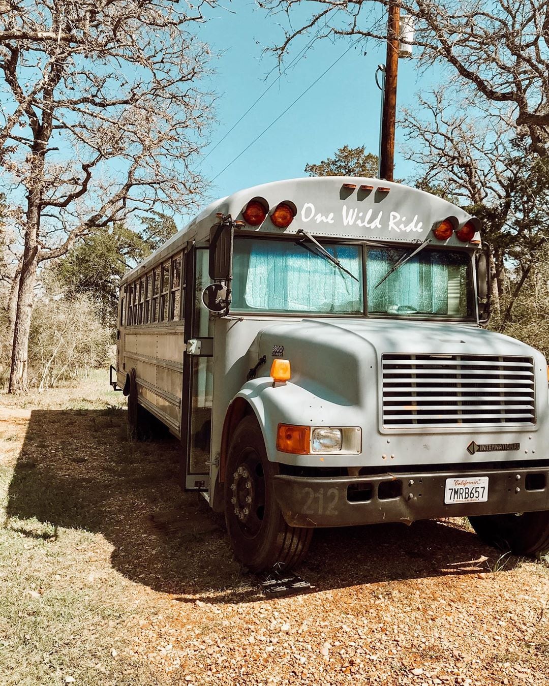 onewildridebus_85238301_511500119803225_3097648661805846110_n