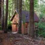 owl-cabin-in-redwoods-001