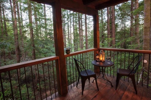 Back Porch with Awesome Views of the Forest