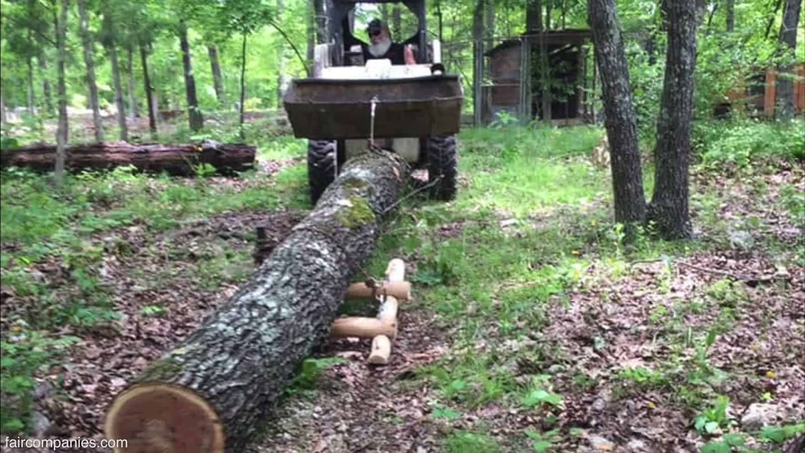 Skid steer dragging a large felled log through the woods on a wooden sled