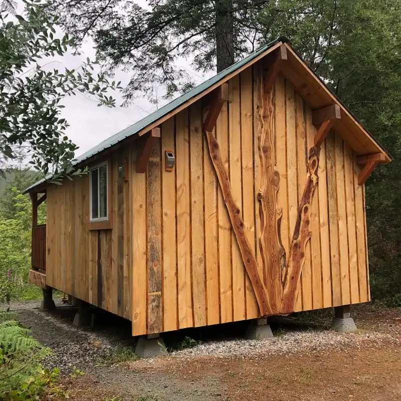 King Wood Cabin exterior in the rainforest: green metal roof, live-edge gable, salvaged wood walls among the trees