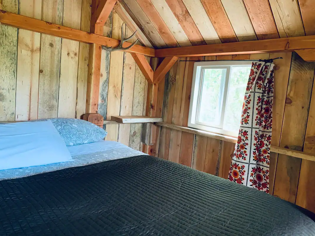 King bed beside a window looking out into rainforest foliage