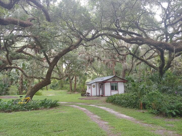 Guest Cottage on Apopka Canal in Tavares, Florida