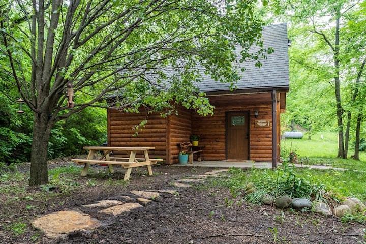Small log cabin surrounded by lush green trees in a peaceful forest setting.