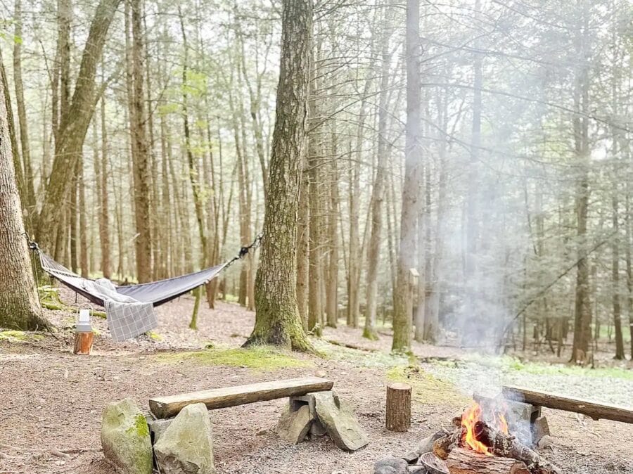 Charming small cabin nestled in the woods with a hammock and campfire, perfect for outdoor relaxatio.