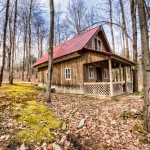 Small Cabin in NY