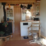 smart-couple-design-build-and-live-simply-in-170-sq-ft-tiny-home-002