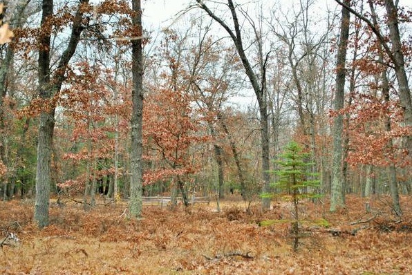 Solar Off Grid Log Cabin On 20 Acres For Sale