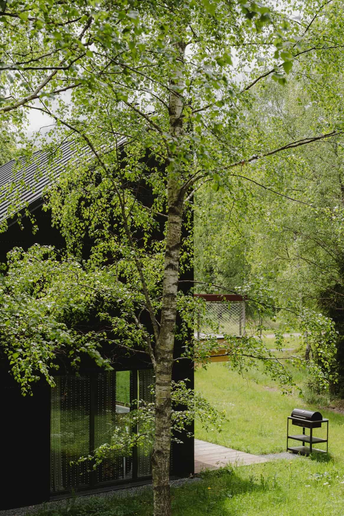 Black gable cabin partly hidden by a birch in the foreground, with a wood deck and kettle grill on the grass