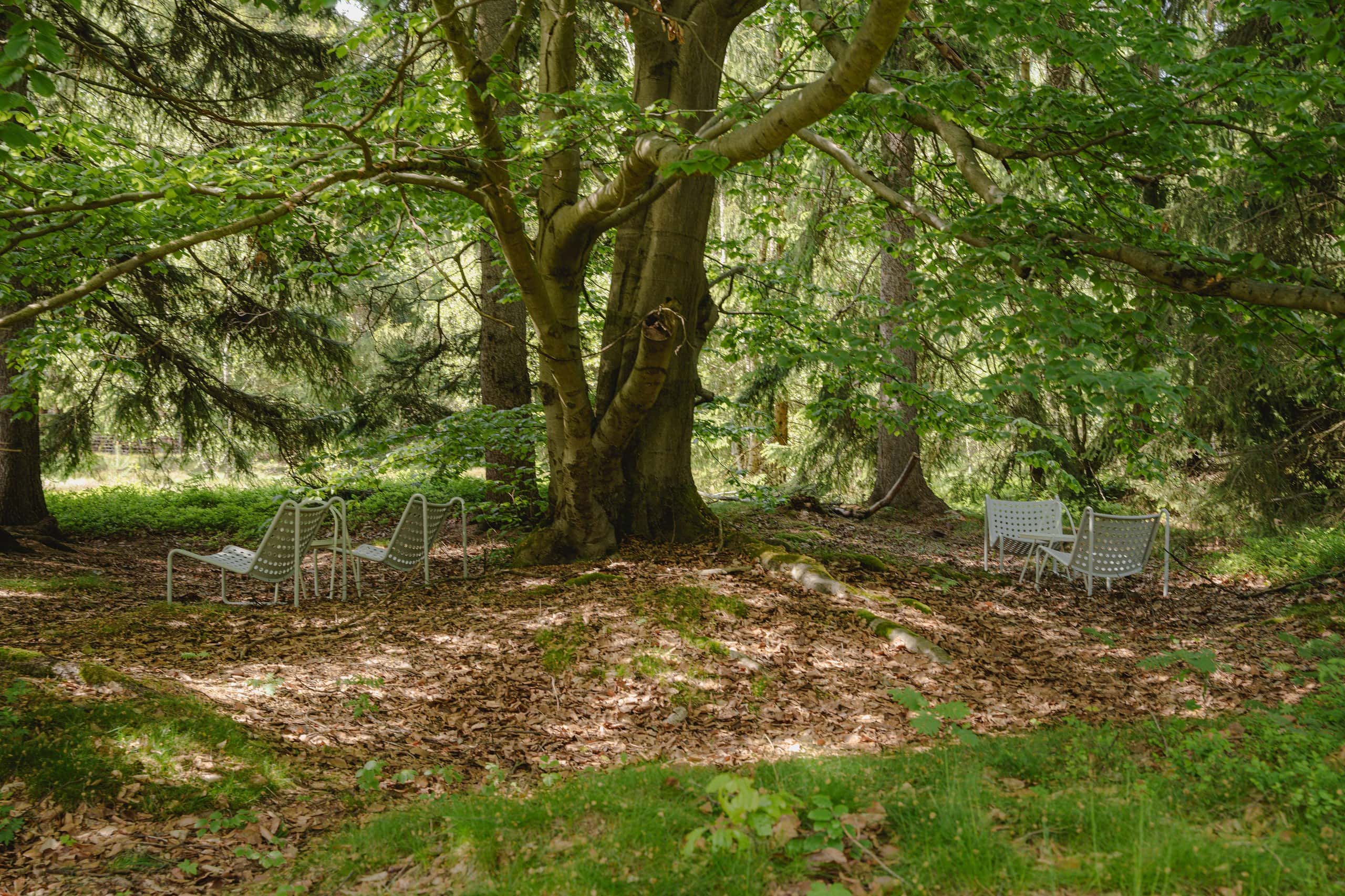 Chairs in a wooded clearing beside the Studzienno 27 cabins