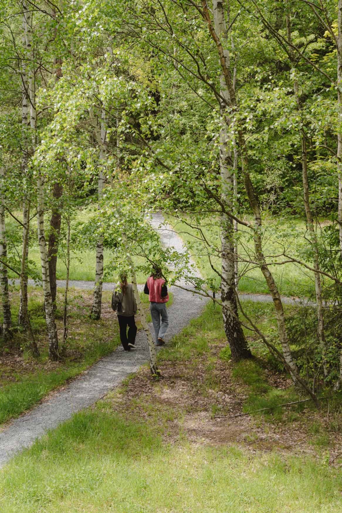 Two people walking away on a gravel path through birch trees at Studzienno 27