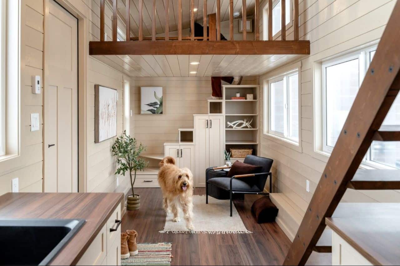 2026 Ruby living area: white storage stair into the far loft, dark-wood stair on the right edge, dog on the rug, kitchen counter in the foreground