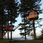 the-cinder-cone-treehouse-cabins-and-skatepark-001