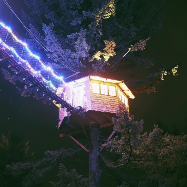 the-cinder-cone-treehouse-cabins-and-skatepark-0012