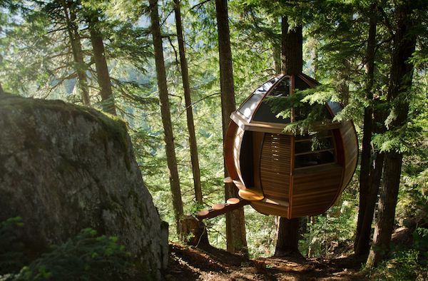 Micro Cabin Treehouse The HemLoft