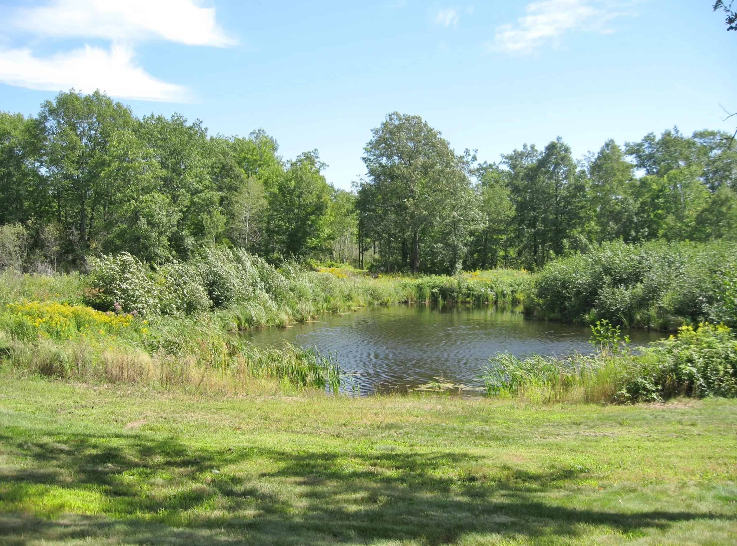 Property pond with a tree line beyond at The Sanctuary Minnesota in Ogilvie, Minnesota