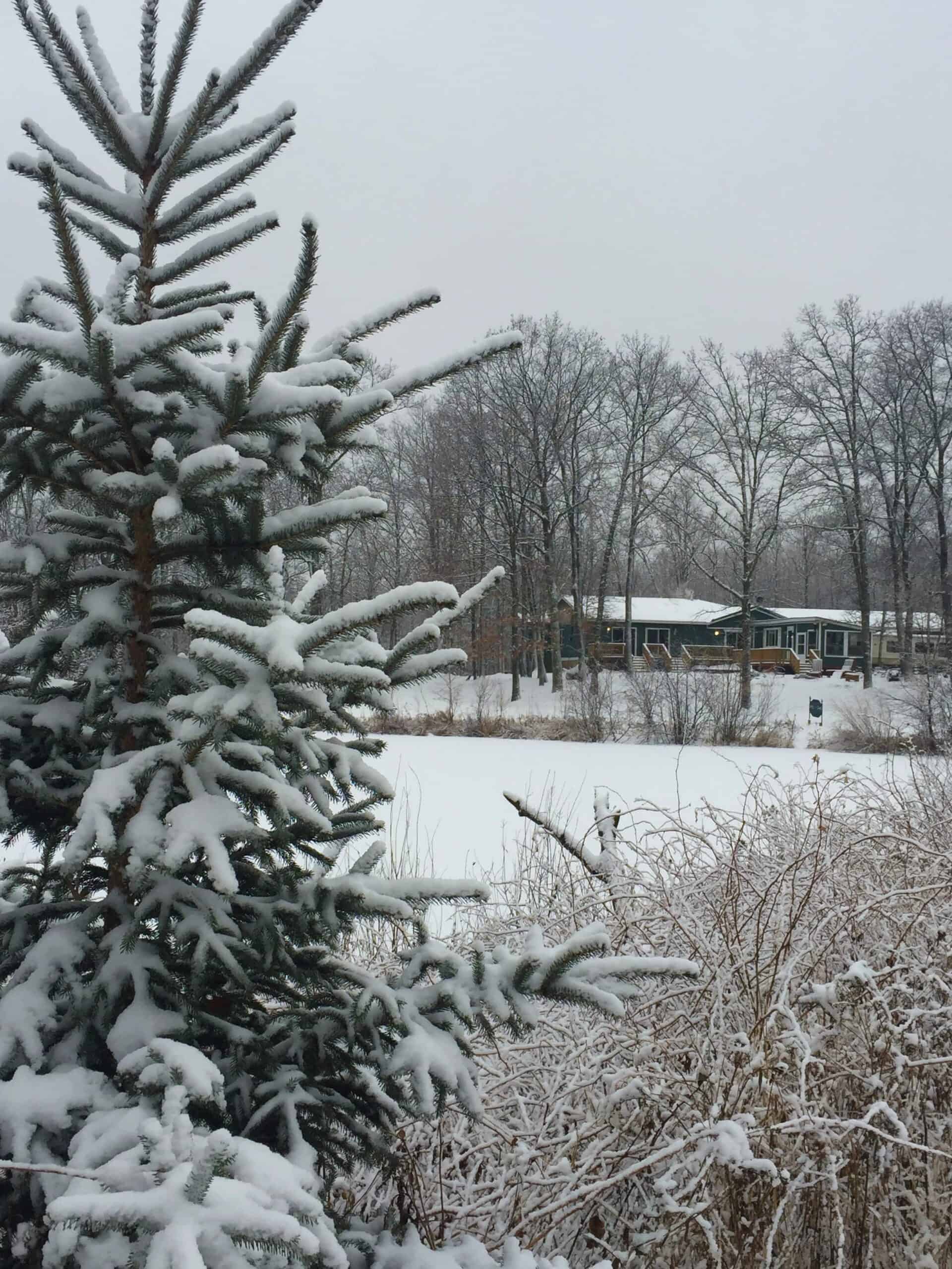 Winter pond with ice and snow in front of a green main house and deck at The Sanctuary Minnesota in Ogilvie