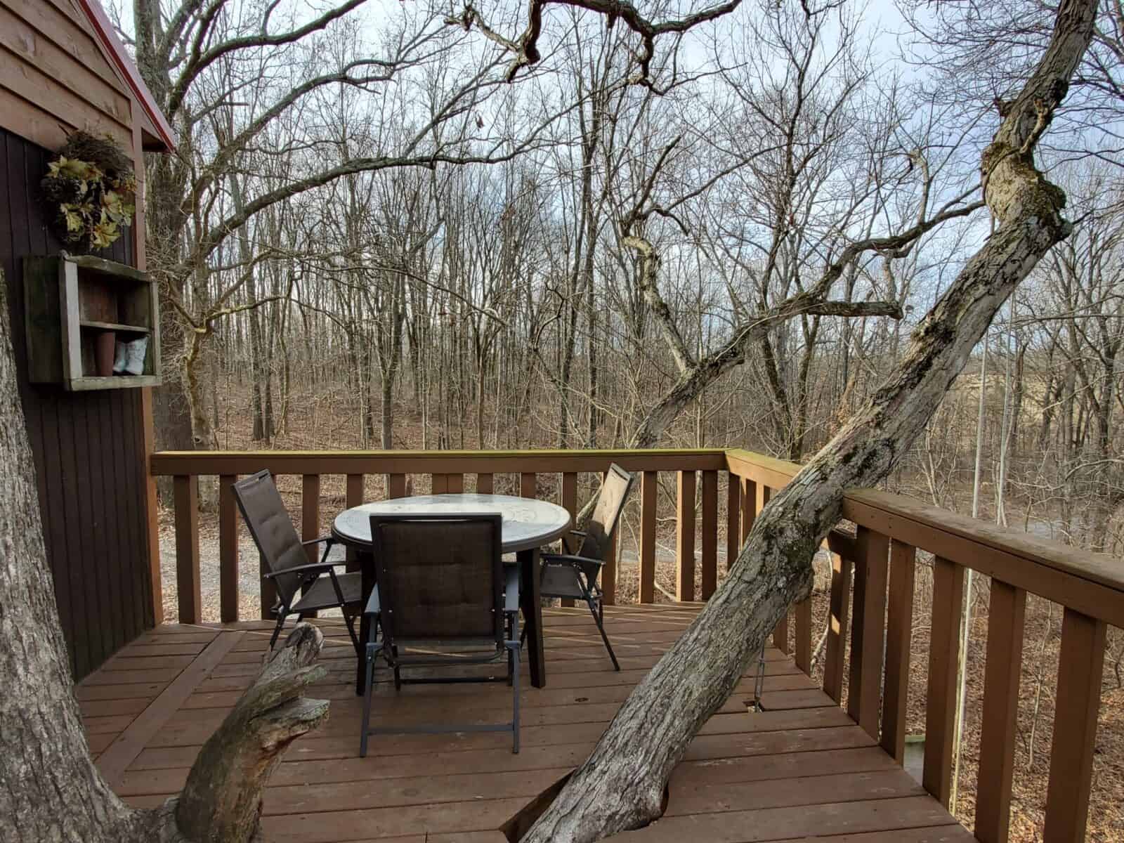 Treehouse deck with a table and chairs and a tree branch growing through the railing
