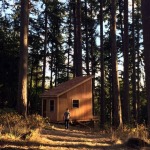 tiny-cabin-for-6k-in-6-days-01a